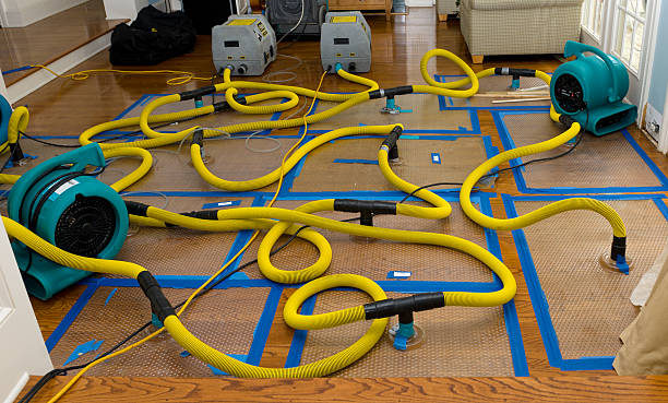 Professional Water Extraction technician working in Madison Lake, MN
